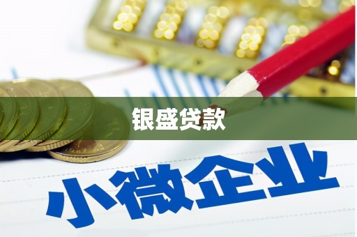 海南银盛贷款