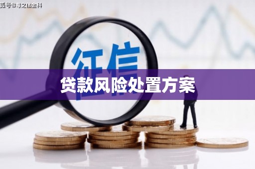 海南贷款风险处置方案