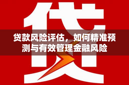 海南贷款风险评估，如何精准预测与有效管理金融风险