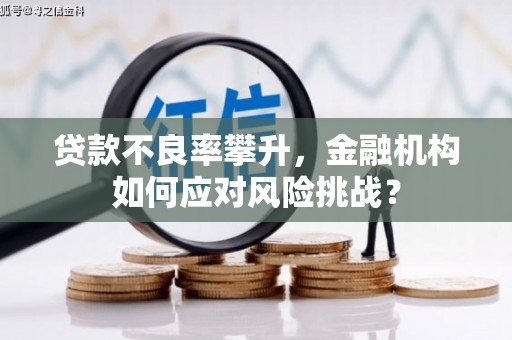 海南贷款不良率攀升，金融机构如何应对风险挑战？