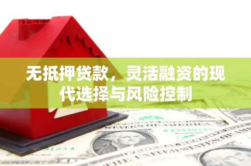 海南无抵押贷款，灵活融资的现代选择与风险控制