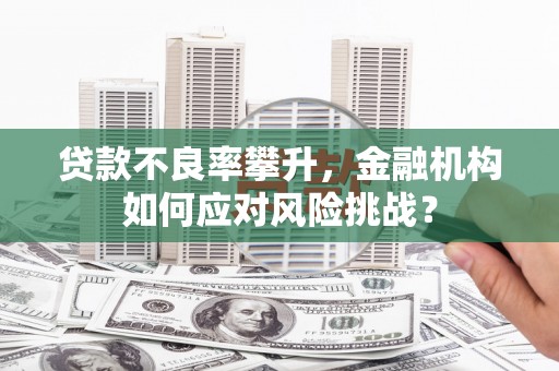 海南贷款不良率攀升，金融机构如何应对风险挑战？