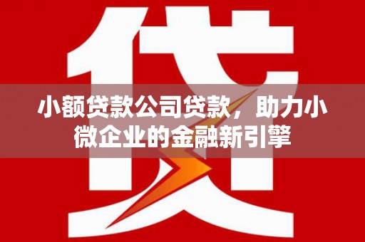 海南小额贷款公司贷款，助力小微企业的金融新引擎