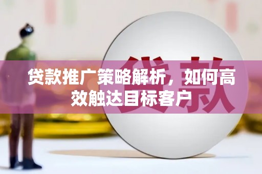 海南贷款推广策略解析，如何高效触达目标客户