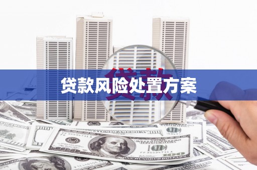 海南贷款风险处置方案