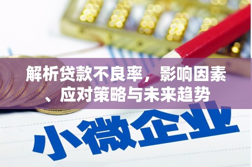 海南解析贷款不良率，影响因素、应对策略与未来趋势