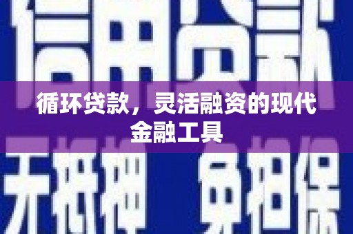 海南循环贷款，灵活融资的现代金融工具