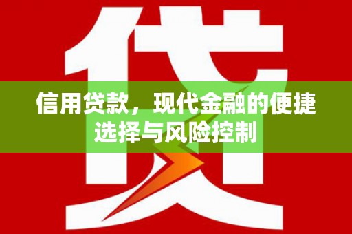 海南信用贷款，现代金融的便捷选择与风险控制