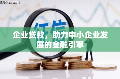 海南企业贷款，助力中小企业发展的金融引擎