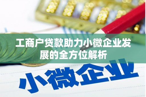 海南工商户贷款助力小微企业发展的全方位解析