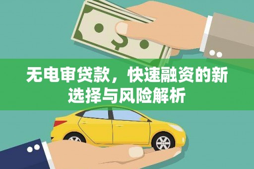 海南无电审贷款，快速融资的新选择与风险解析