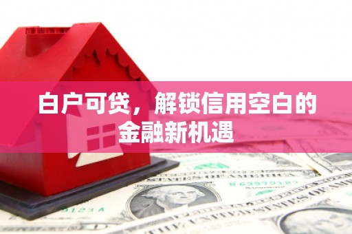 海南白户可贷，解锁信用空白的金融新机遇