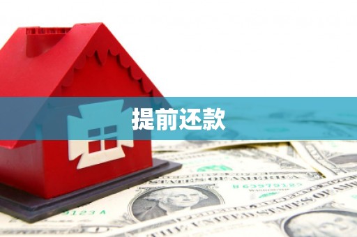 海南提前还款