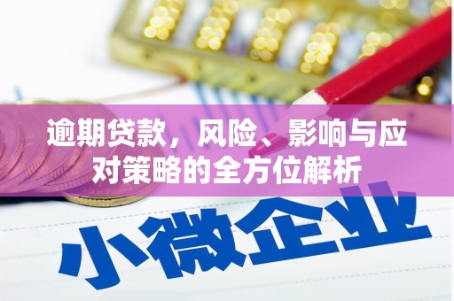 海南逾期贷款，风险、影响与应对策略的全方位解析