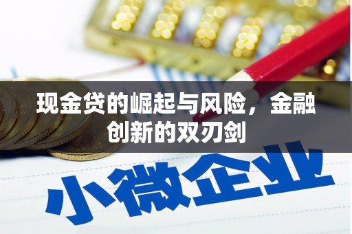 海南现金贷的崛起与风险，金融创新的双刃剑