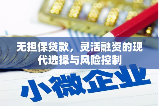 海南无担保贷款，灵活融资的现代选择与风险控制