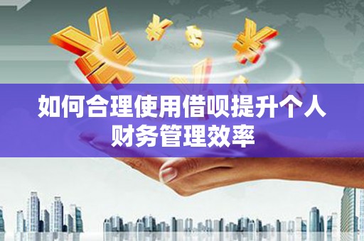 海南如何合理使用借呗提升个人财务管理效率