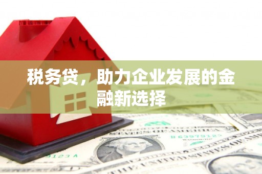 海南税务贷，助力企业发展的金融新选择