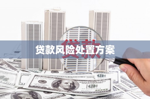 海南贷款风险处置方案