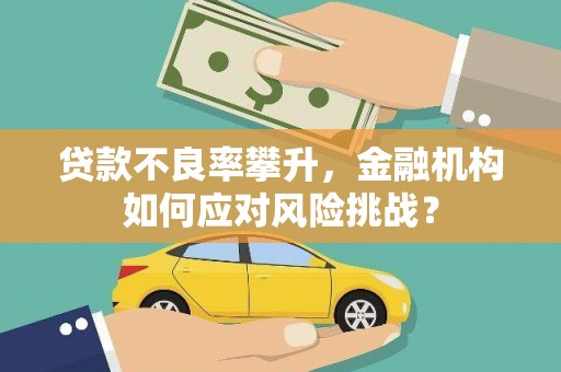 海南贷款不良率攀升，金融机构如何应对风险挑战？
