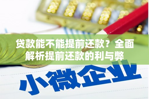 海南贷款能不能提前还款？全面解析提前还款的利与弊
