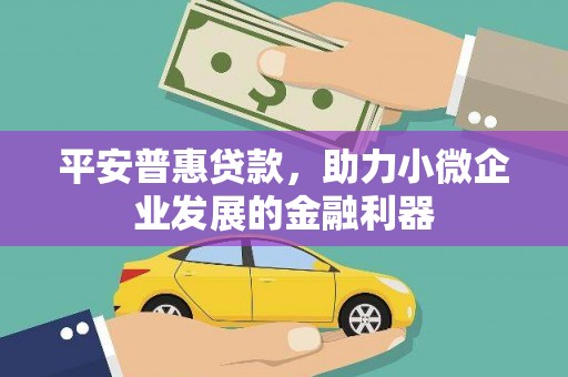 海南平安普惠贷款，助力小微企业发展的金融利器