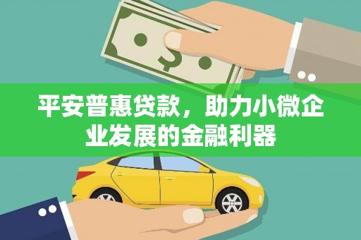 海南平安普惠贷款，助力小微企业发展的金融利器
