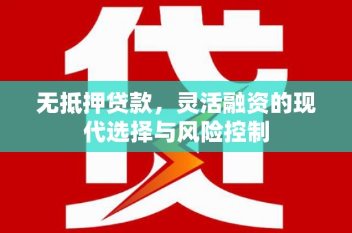 海南无抵押贷款，灵活融资的现代选择与风险控制