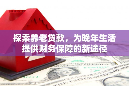 海南探索养老贷款，为晚年生活提供财务保障的新途径