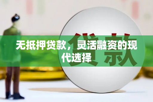 海南无抵押贷款，灵活融资的现代选择