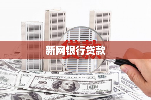 海南新网银行贷款