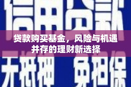 海南贷款购买基金，风险与机遇并存的理财新选择