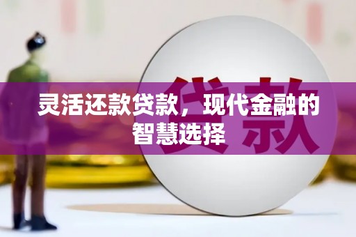 海南灵活还款贷款，现代金融的智慧选择