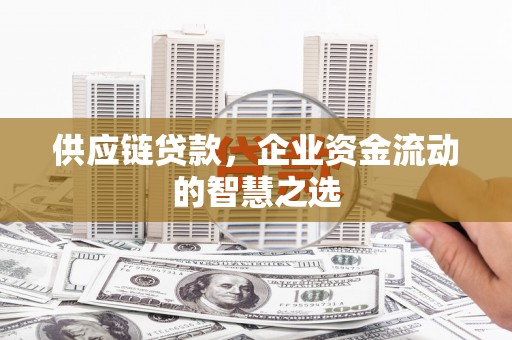 海南供应链贷款，企业资金流动的智慧之选