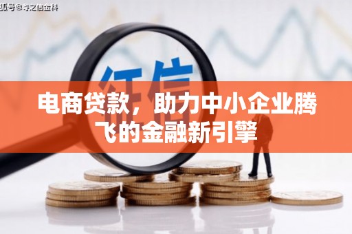 海南电商贷款，助力中小企业腾飞的金融新引擎