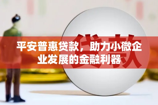 海南平安普惠贷款，助力小微企业发展的金融利器