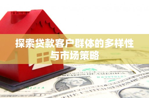 海南探索贷款客户群体的多样性与市场策略