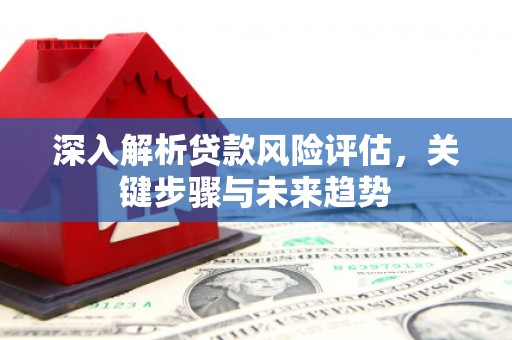 海南深入解析贷款风险评估，关键步骤与未来趋势