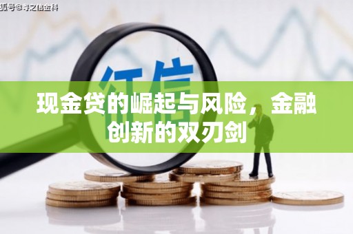 海南现金贷的崛起与风险，金融创新的双刃剑