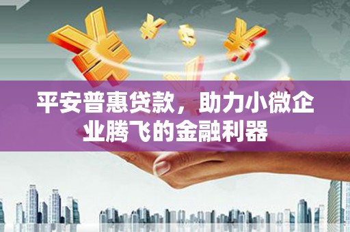 海南平安普惠贷款，助力小微企业腾飞的金融利器