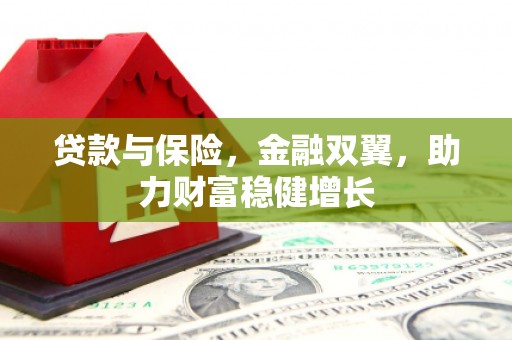 海南贷款与保险，金融双翼，助力财富稳健增长