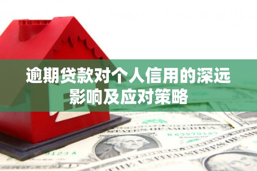 海南逾期贷款对个人信用的深远影响及应对策略