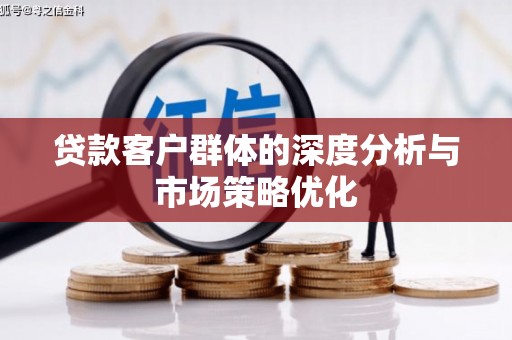 海南贷款客户群体的深度分析与市场策略优化