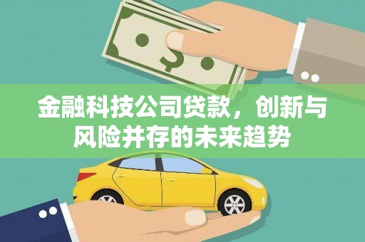海南金融科技公司贷款，创新与风险并存的未来趋势