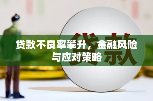 海南贷款不良率攀升，金融风险与应对策略