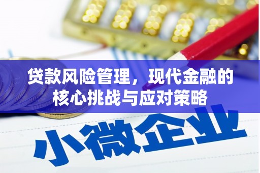 海南贷款风险管理，现代金融的核心挑战与应对策略