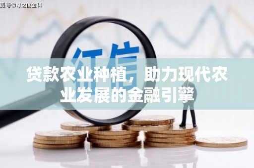 海南贷款农业种植，助力现代农业发展的金融引擎
