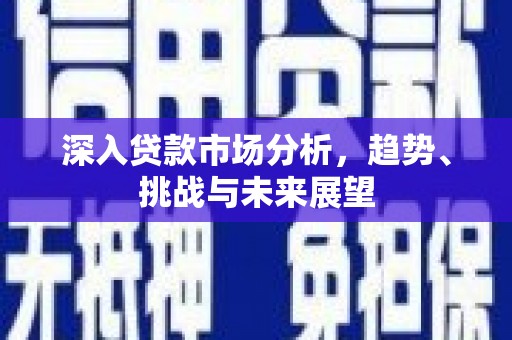 海南深入贷款市场分析，趋势、挑战与未来展望