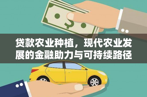 海南贷款农业种植，现代农业发展的金融助力与可持续路径