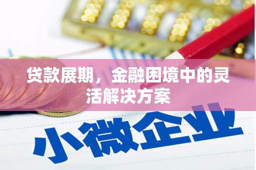 海南贷款展期，金融困境中的灵活解决方案